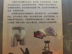 -武汉达临性学生命文化博物馆