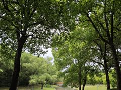 -东方绿舟景区