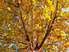 -天津东丽湖风景区