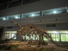 -自贡恐龙博物馆