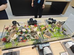 -Sony Store 索尼(上海淮海中路店)