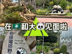 -石排湾郊野公园