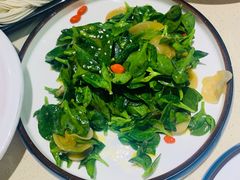 白木耳拌穿心莲-龙福成肥牛火锅(文昌店)