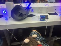 -滚猫咖啡·猫咖·猫友好撸猫(未来城店)