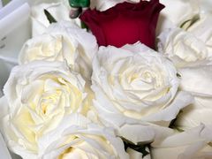 -北京宴(丰台总店)