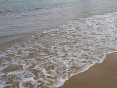 -枸杞岛