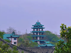 -桂湖森林公园