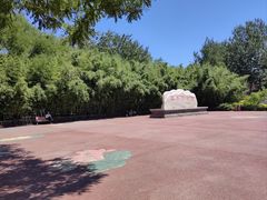 -莲花池公园