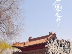 -桃花堤公园