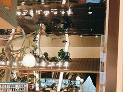 -桂满陇·海市蜃楼·黑金(国金店)