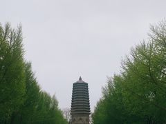 -玲珑塔公园