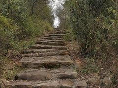 -白马涧龙池景区