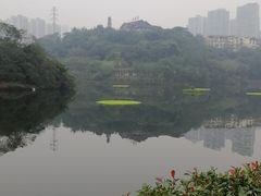 -重庆彩云湖湿地公园