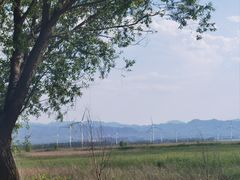 -野鸭湖国家湿地公园