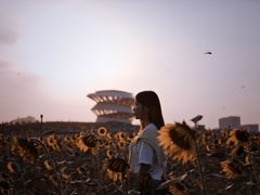 -光明小镇欢乐田园