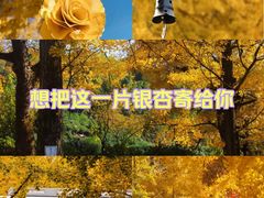 -长兴八都岕景区