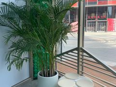 -柠季·手打柠檬茶(梅溪湖新天地外街店)