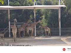 -泉州海丝野生动物世界