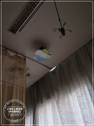 -上海市儿童医院(泸定路院区)