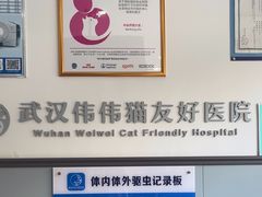 -伟伟宠物医院·瑞派猫友好医院·猫科(光谷店)