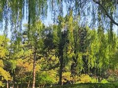 -玲珑塔公园