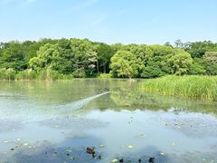 -东关历史文化旅游区-东门遗址