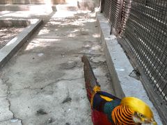 -北京动物园