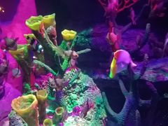 -沈阳海洋探索中心