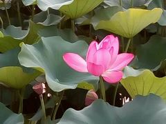 -南戴河国际娱乐中心