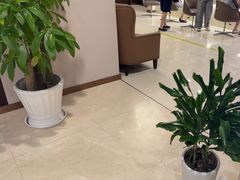 -瑞慈体检上海陆家嘴机构