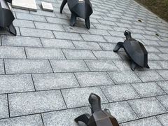 -广东惠东海龟国家级自然保护区