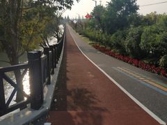 -上海长兴岛郊野公园