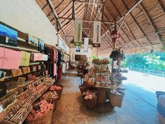 -大象粑粑造纸公园