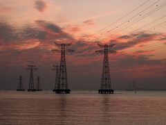 -宝安西湾红树林湿地公园