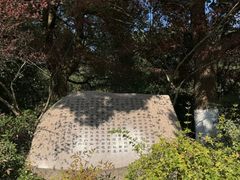 -杭州半山国家森林公园