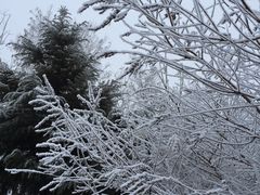 -南开大学滨海学院