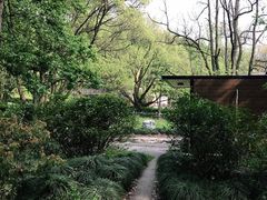 -WeLope紫金山探险公园
