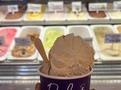 -Dooley's Premium Ice Cream