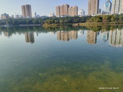 -南宁南湖公园
