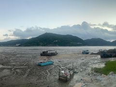 -北岐滩涂