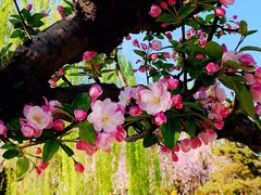 -元大都城垣遗址公园