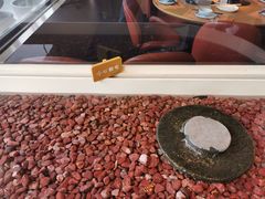 -生如夏花泰式火锅(西村黑金店)