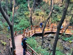 -大岭沟猕猴桃谷风景区