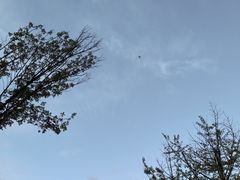 -木塔寺遗址生态公园