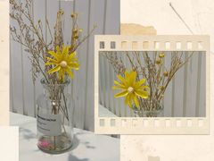 -丽莎沙拉轻食餐厅(国贸店)