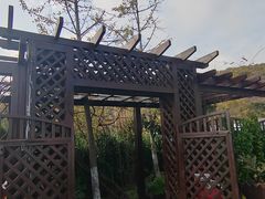 -怪坡茶馆