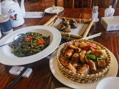 -顺德了能馆(虎门店)