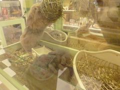 -龙猫仔乐园(惠福东路店)