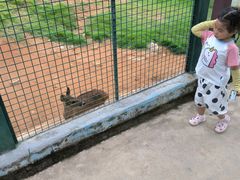 -泉州海丝野生动物世界