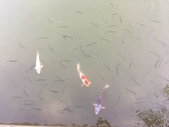景观位-杭州西子湖四季酒店·金沙厅